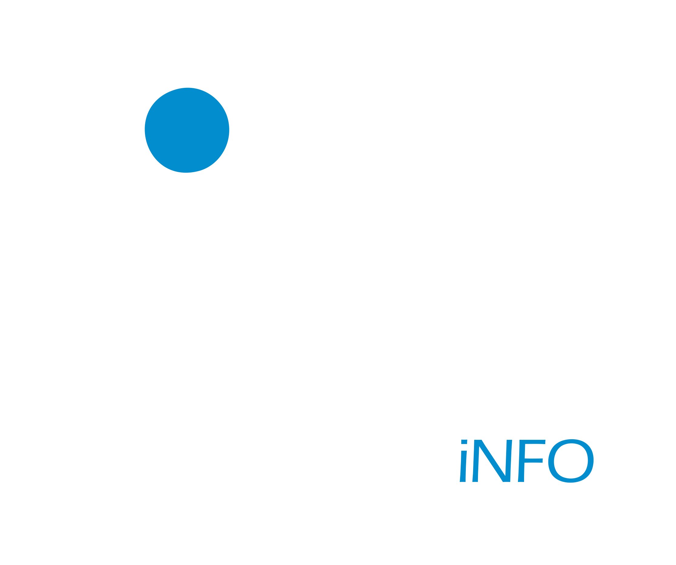 TECHSMART iNFO Logo